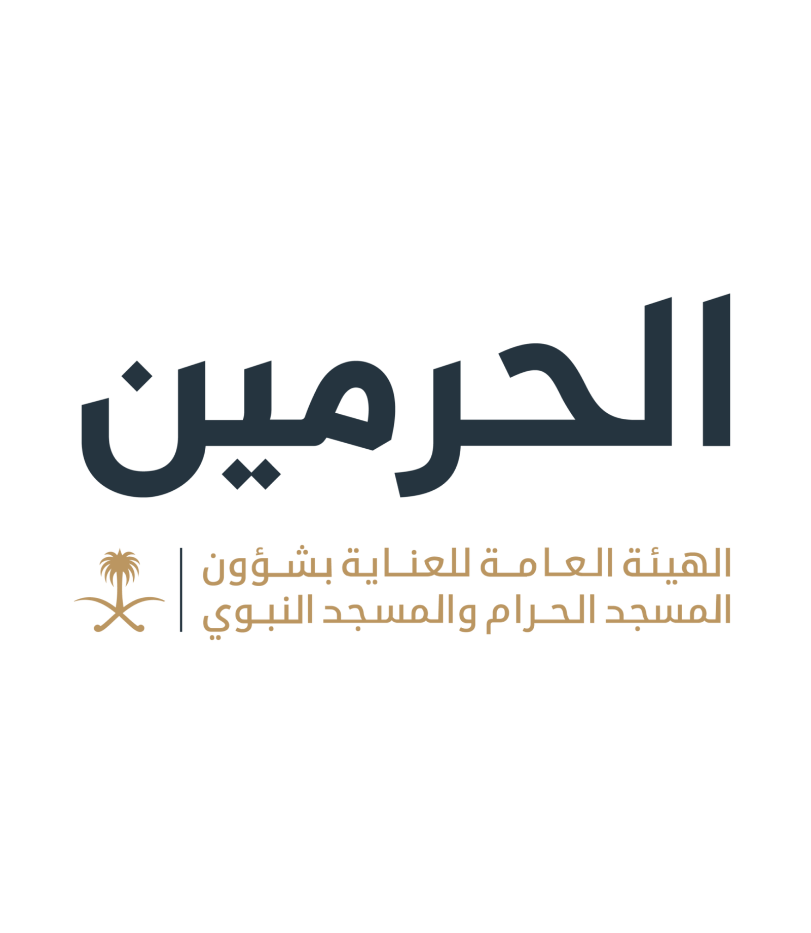 عملائنا في السعودية - الفايزة